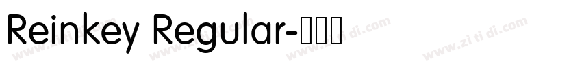 Reinkey Regular字体转换 Reinkey Regular字体转换